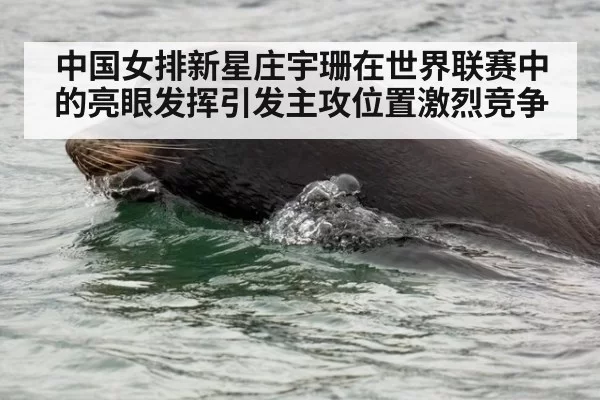 中国女排新星庄宇珊在世界联赛中的亮眼发挥引发主攻位置激烈竞争